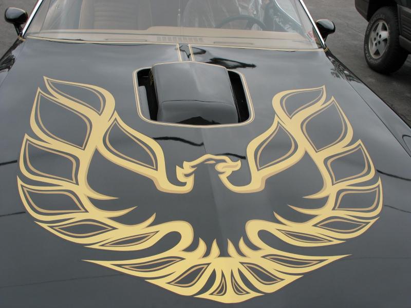 bird4