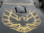bird4